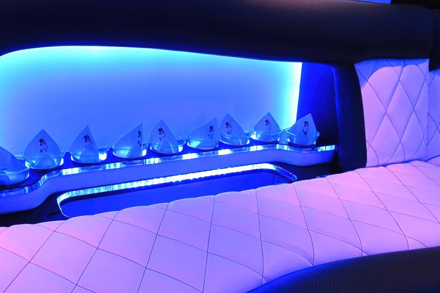Mercedes Setra 60 Passenger Party Bus Small Photo (19)