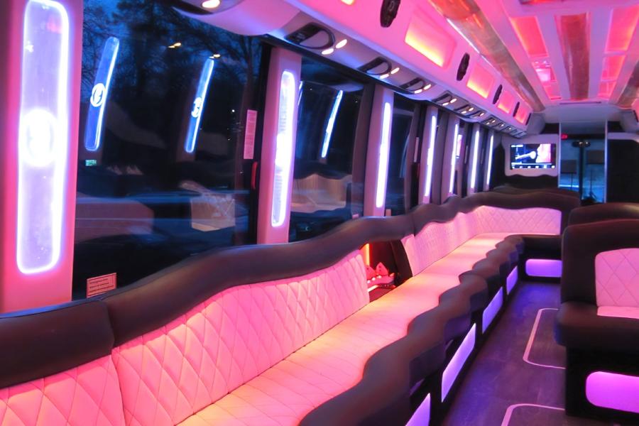 Mercedes Setra 60 Passenger Party Bus Small Photo (19)