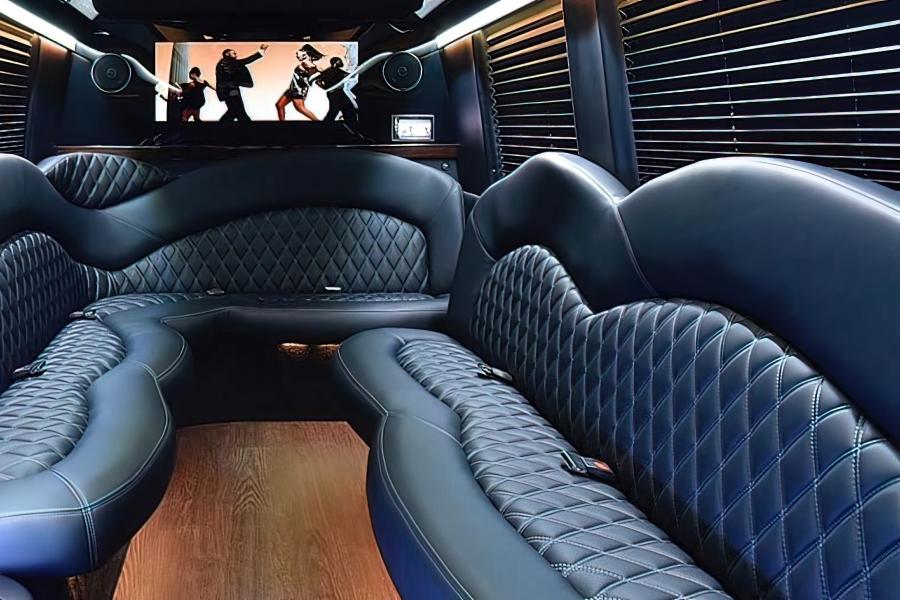 SPRINTER PARTY BUS Small Photo (19)