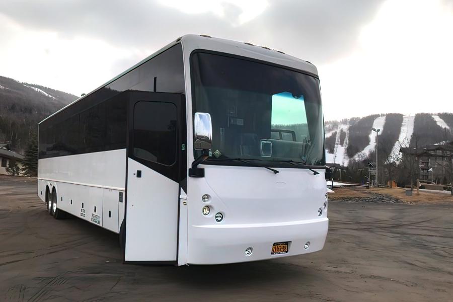 50 PAX Party Bus Small Photo (19)