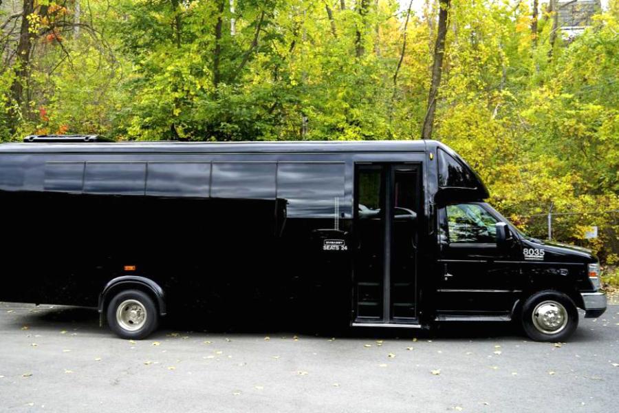 20 PAX Embassy Party Bus Small Photo (19)