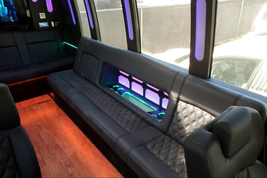 20 PAX Embassy Party Bus Small Photo (19)