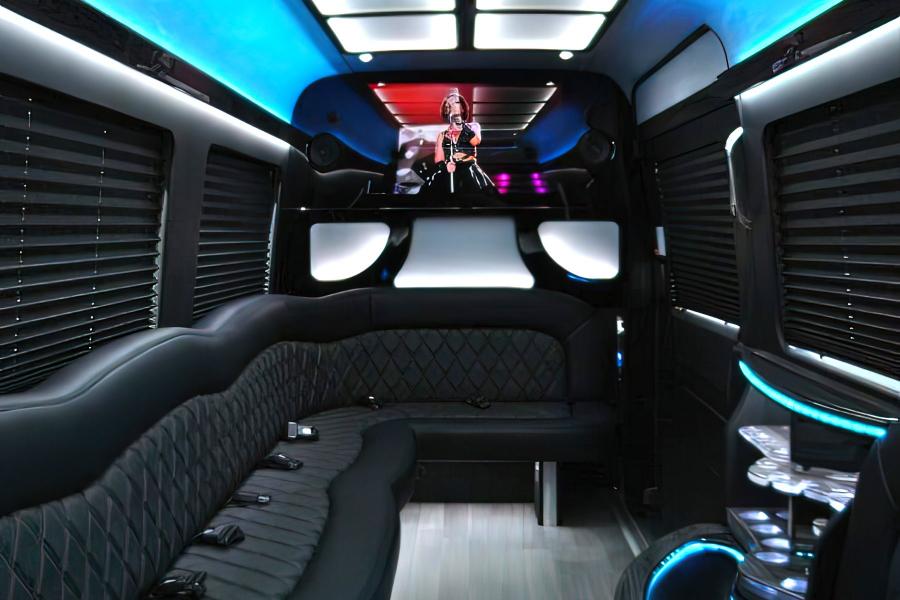 14 PAX Mercedez Benz Sprinter Party Bus Small Photo (19)