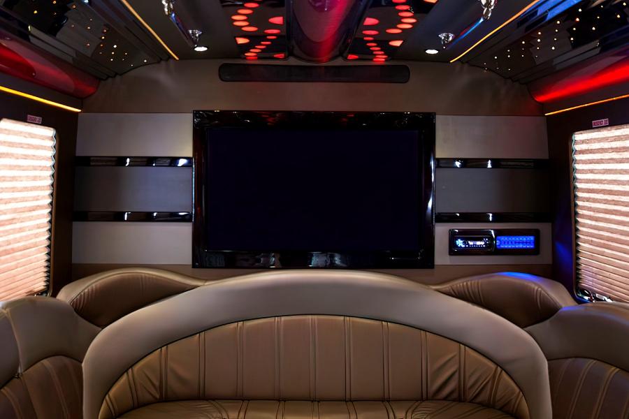 22 PAX Party Limo Bus Small Photo (19)
