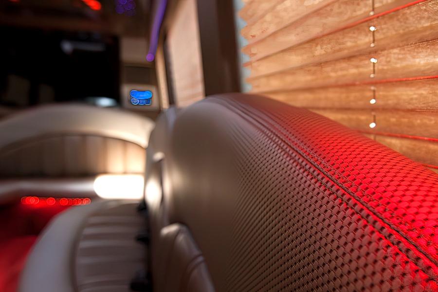 12 PAX Mercedes-Benz Sprinter Deluxe  Party Bus Small Photo (19)