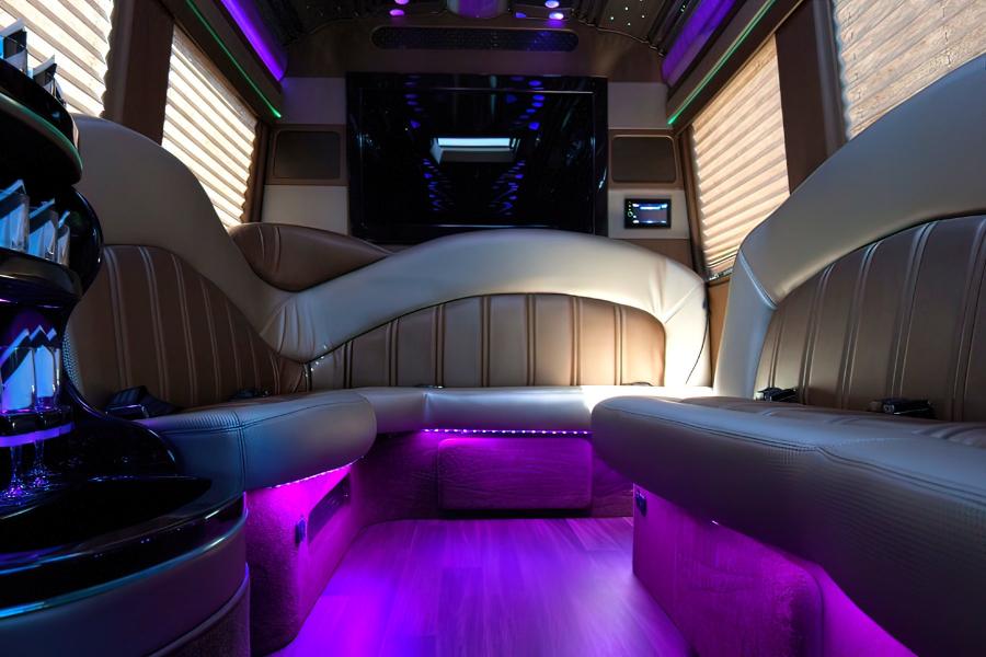 12 PAX Mercedes-Benz Sprinter Deluxe  Party Bus Small Photo (19)