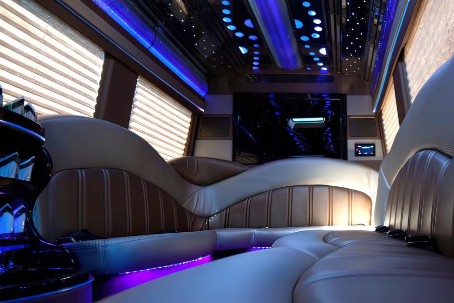12 PAX Mercedes-Benz Sprinter Deluxe  Party Bus Small Photo (19)