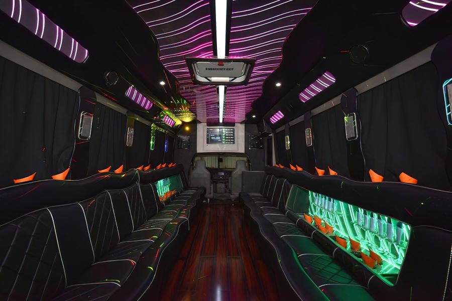 22 PAX PARTY BUS Small Photo (19)
