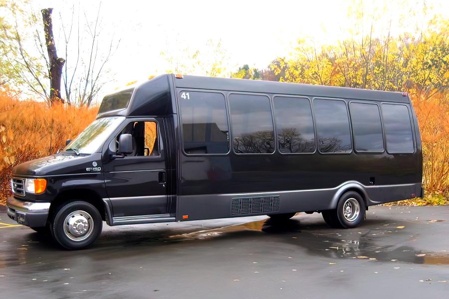 14 PASSENGER PARTY BUS Photo