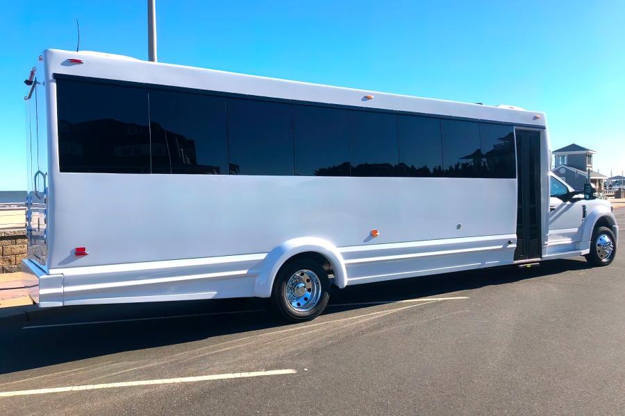 28 Passenger Party Bus Small Photo (19)