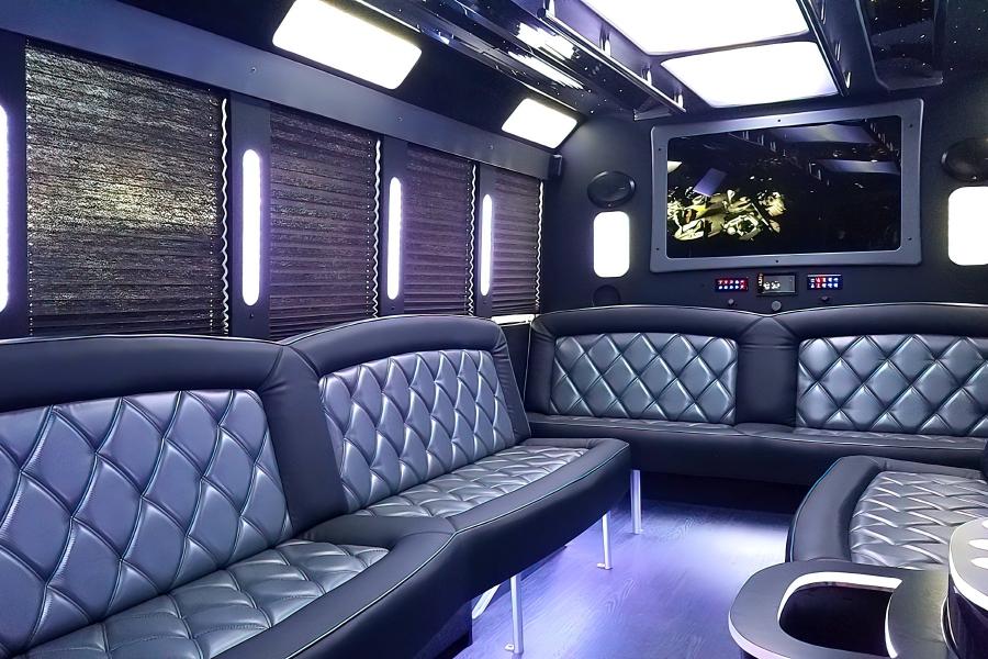 20 PAX Party Bus Limo Small Photo (19)