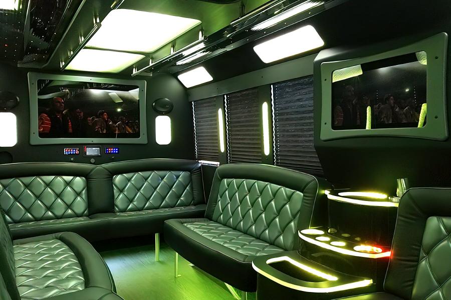 20 PAX Party Bus Limo Small Photo (19)