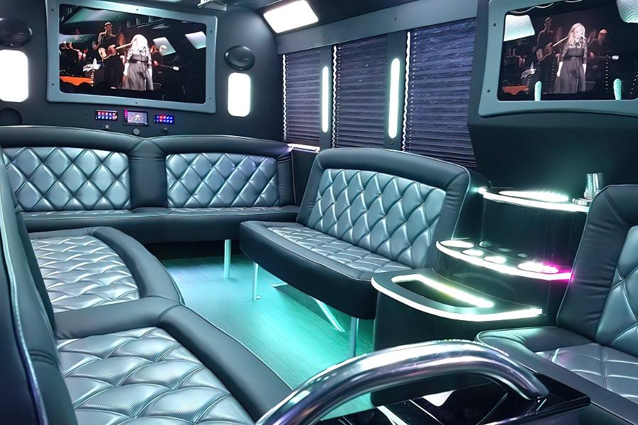 20 PAX Party Bus Limo Small Photo (19)