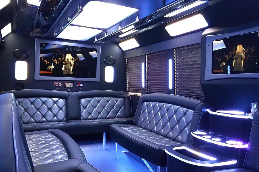 20 PAX Party Bus Limo Small Photo (19)