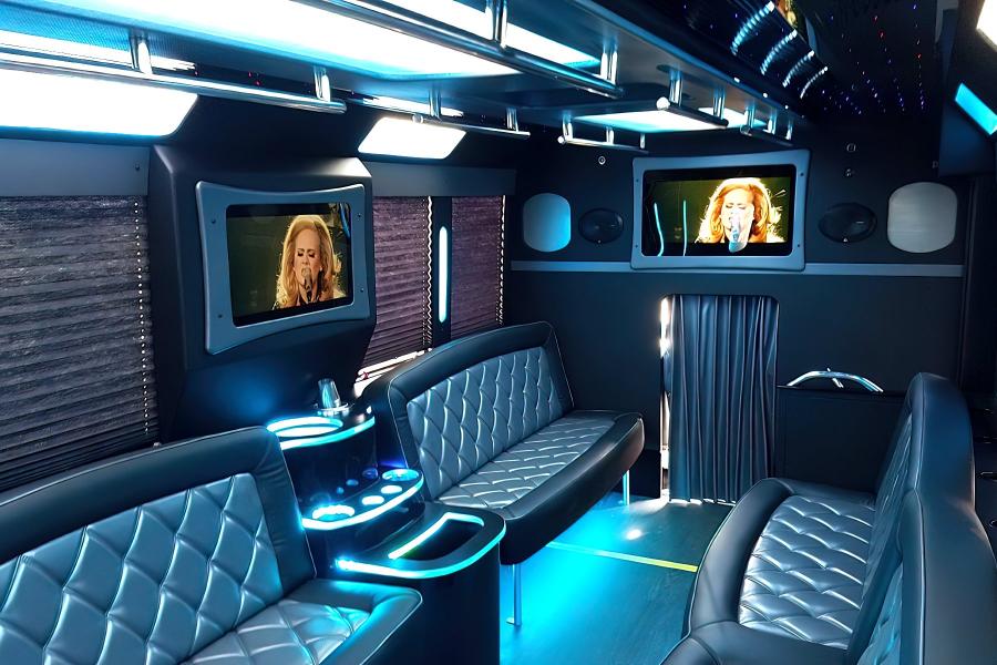 20 PAX Party Bus Limo Small Photo (19)