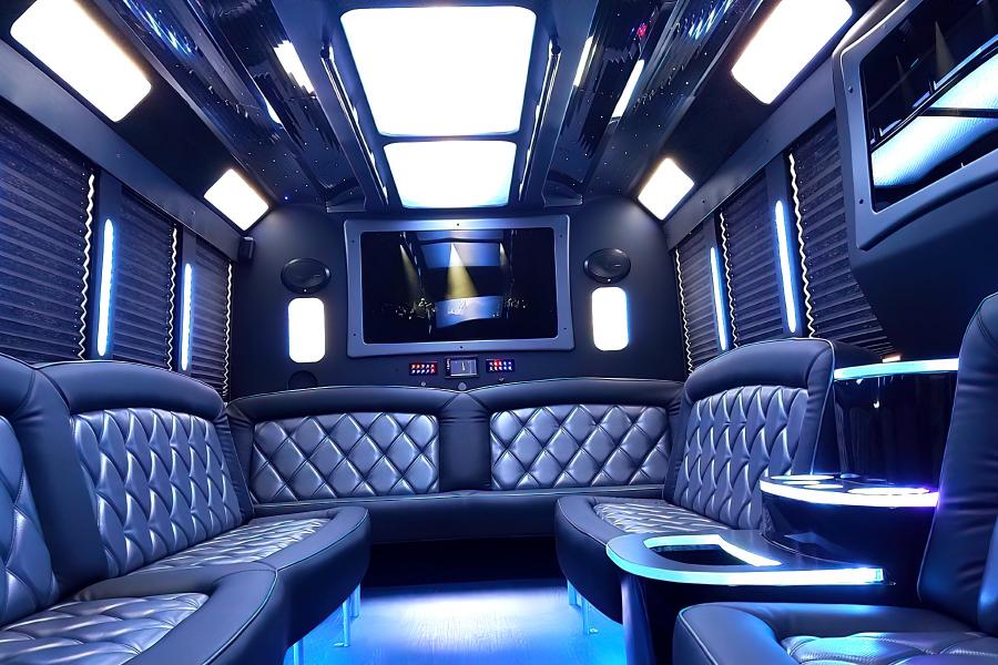 20 PAX Party Bus Limo Small Photo (19)