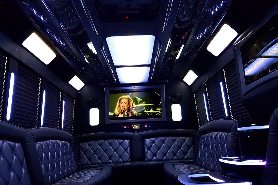20 PAX Party Bus Limo Small Photo (19)