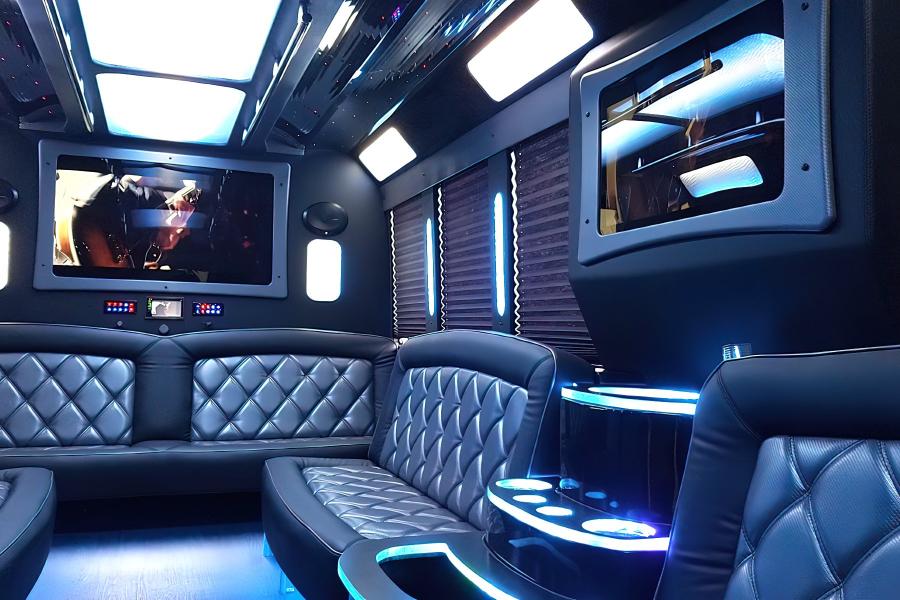 20 PAX Party Bus Limo Small Photo (19)