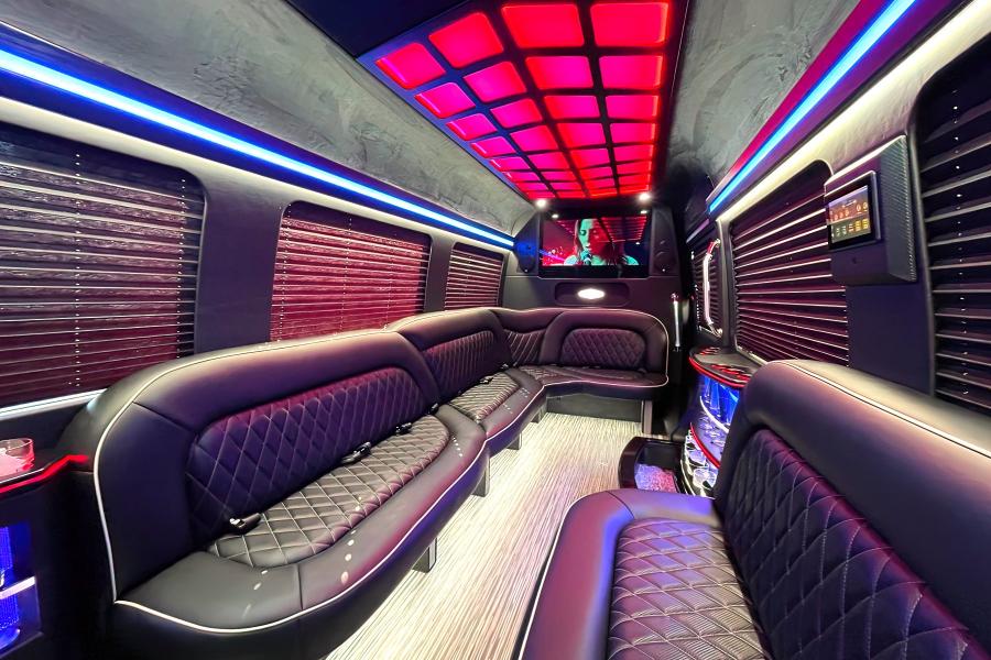 14 PAX Mercedes Benz Sprinter White Limousine Small Photo (19)