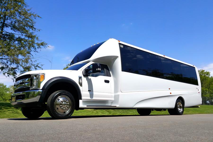 22 PAX PARTY BUS Photo