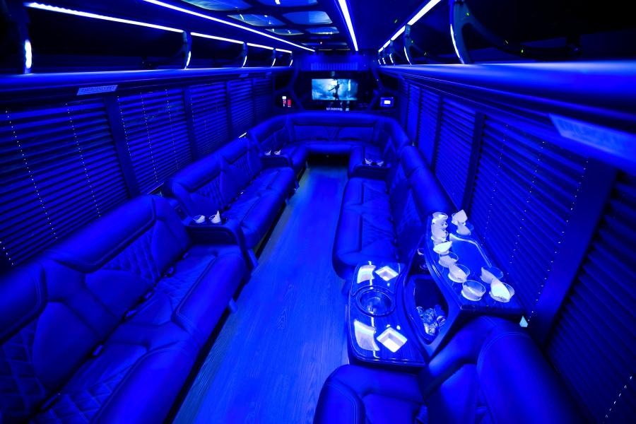 22 PAX PARTY BUS Small Photo (19)