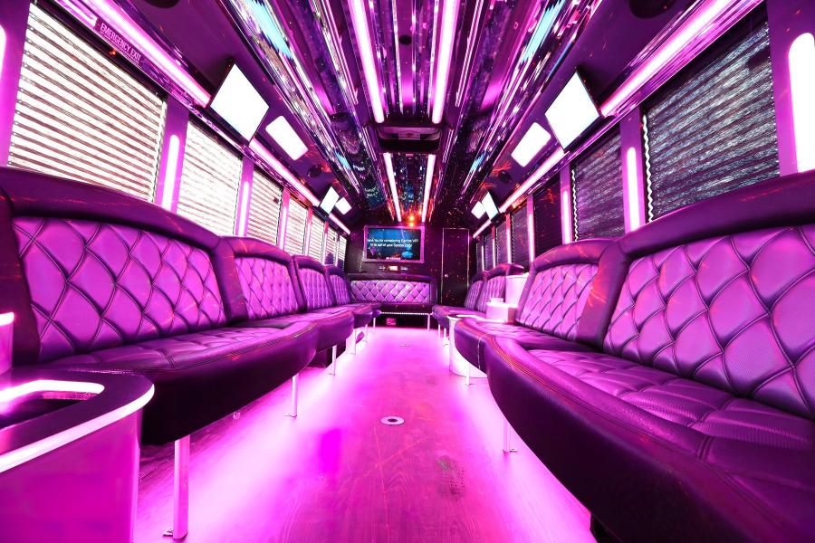 28 PAX PARTY BUS Small Photo (19)