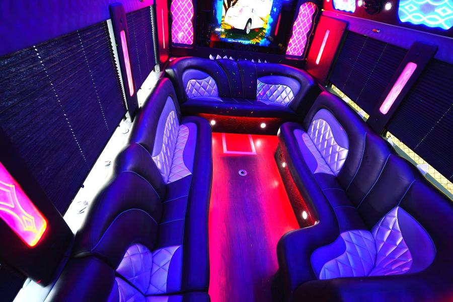 32 Passenger Party Bus Small Photo (19)