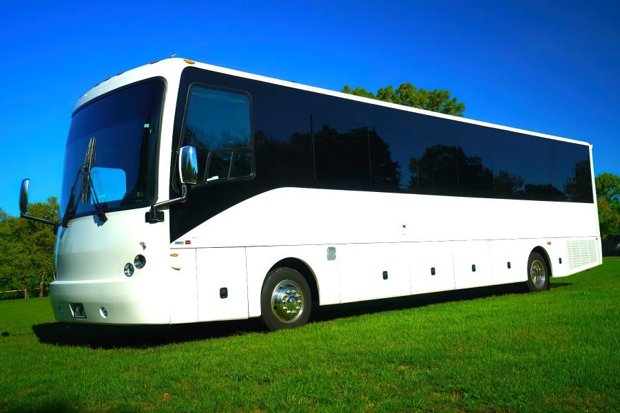 42 Passenger Party Bus Small Photo (19)