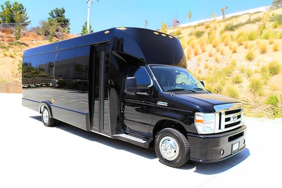 16 PAX Ford E-450 Party Bus Small Photo (19)