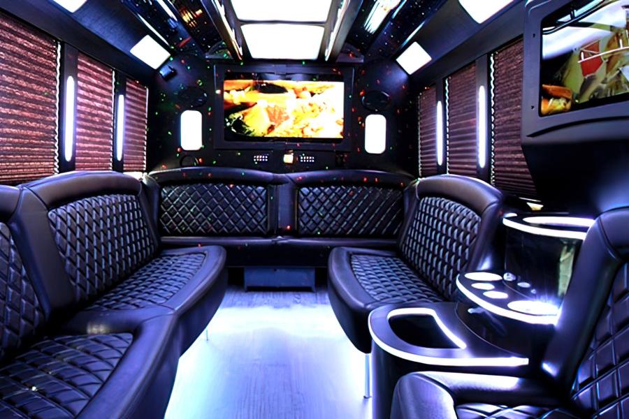 16 PAX Ford E-450 Party Bus Photo