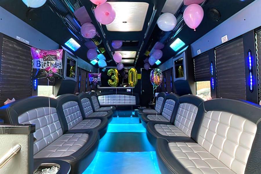 TIFFANY 31 PAX PARTY BUS Photo