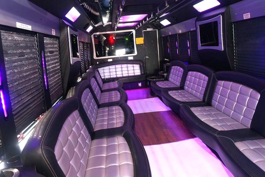 TIFFANY 31 PAX PARTY BUS Small Photo (19)