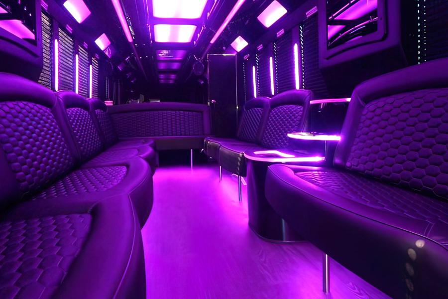  26 PAX PARTY BUS Small Photo (19)