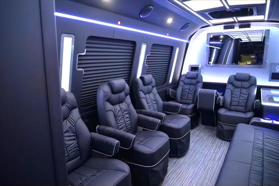 Party Bus 15 PAX Photo