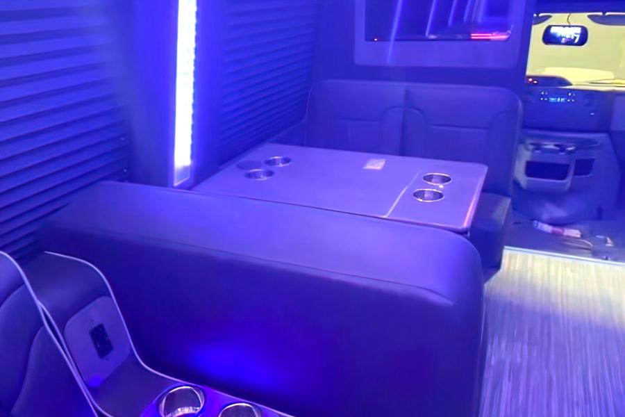 Party Bus 15 PAX Small Photo (19)