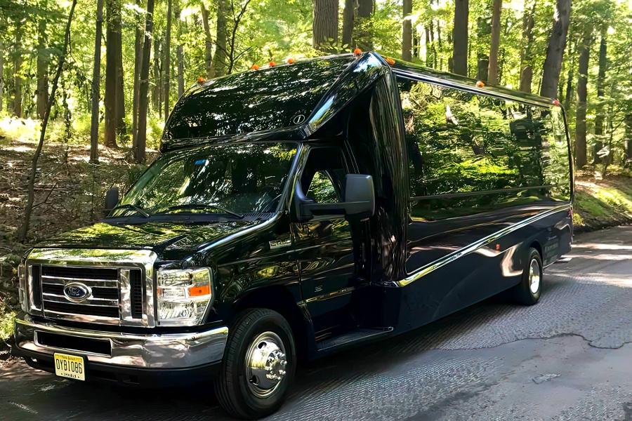 20 Passenger Luxury Party Bus Small Photo (19)