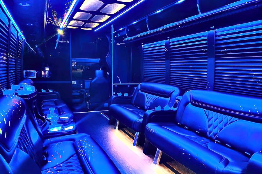 20 Passenger Luxury Party Bus Small Photo (19)