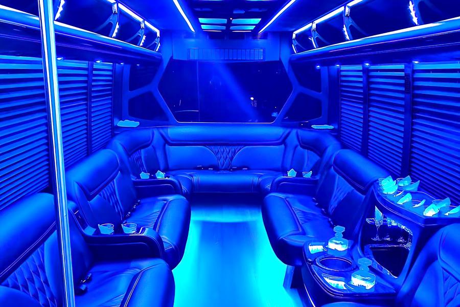 20 Passenger Luxury Party Bus Photo