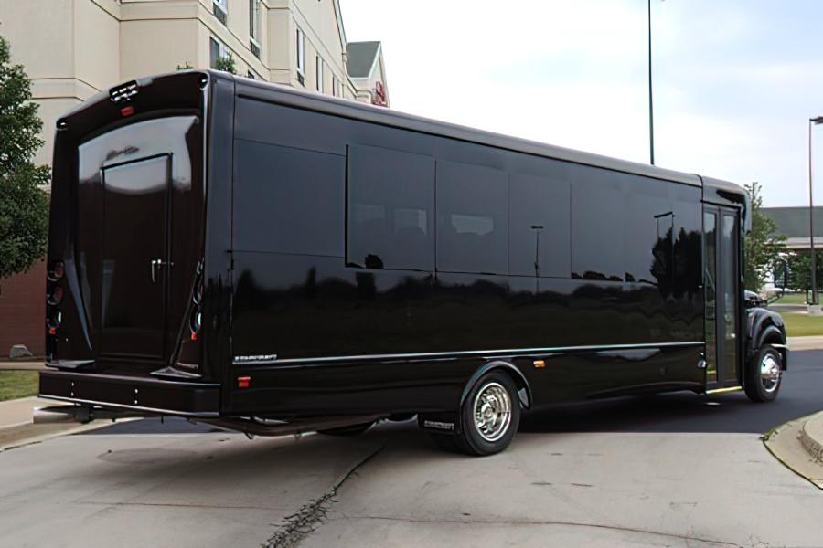 28  PASSENGER EXECUTIVE COACH Small Photo (19)