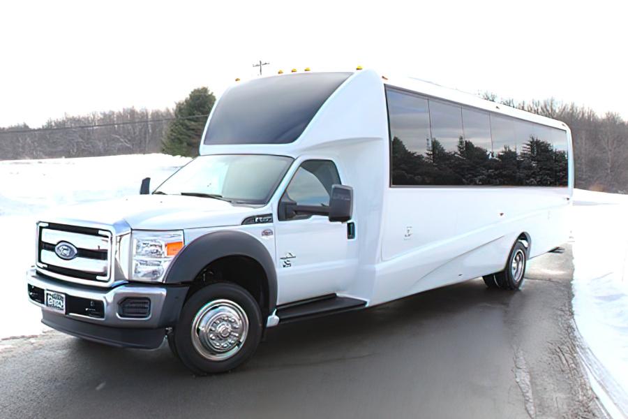 27 PASSENGER EXECUTIVE MINI COACH Small Photo (19)