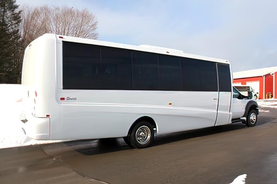 31 PASSENGER EXECUTIVE MINI COACH Small Photo (19)