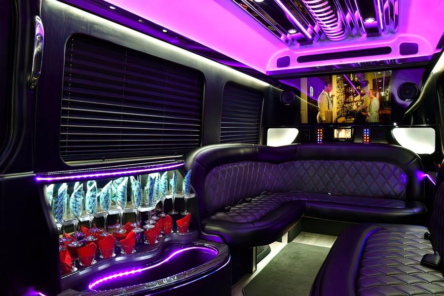 12 PAX MERCEDES PARTY BUS Photo