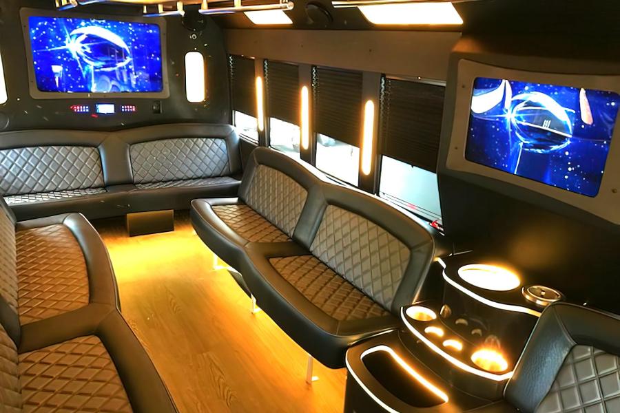 30 PASSENGER PARTY BUS Small Photo (19)