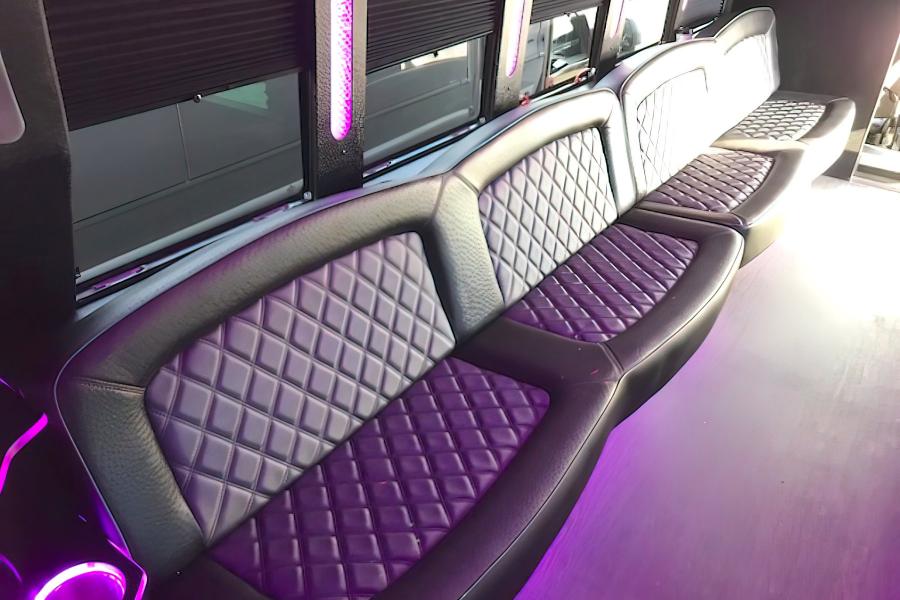 30 PASSENGER PARTY BUS Small Photo (19)