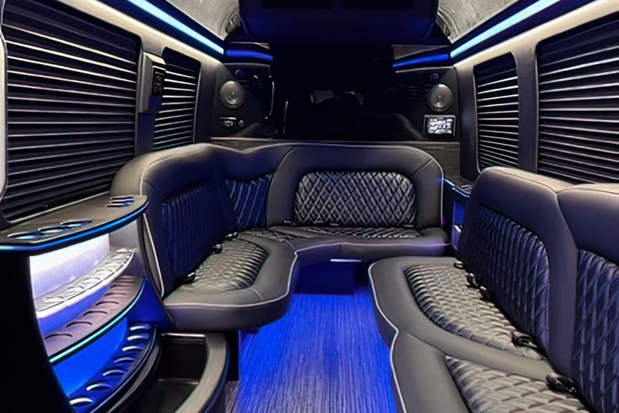 15 PAX Party Bus Small Photo (19)