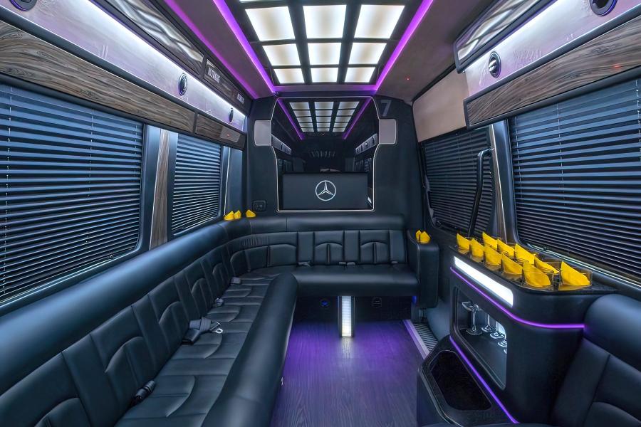 14 PAX Party Bus MERCEDES SPRINTER Photo
