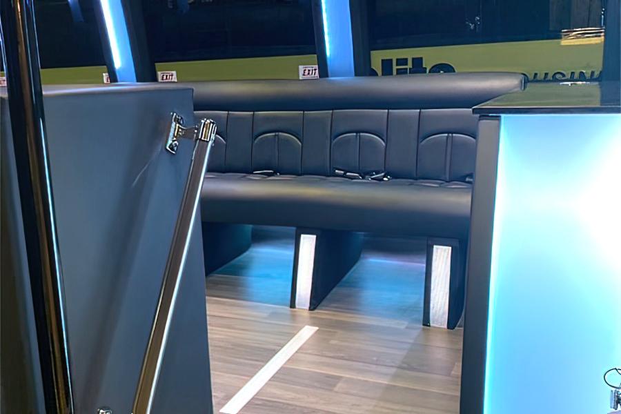 20 Passenger Party Bus  Small Photo (19)