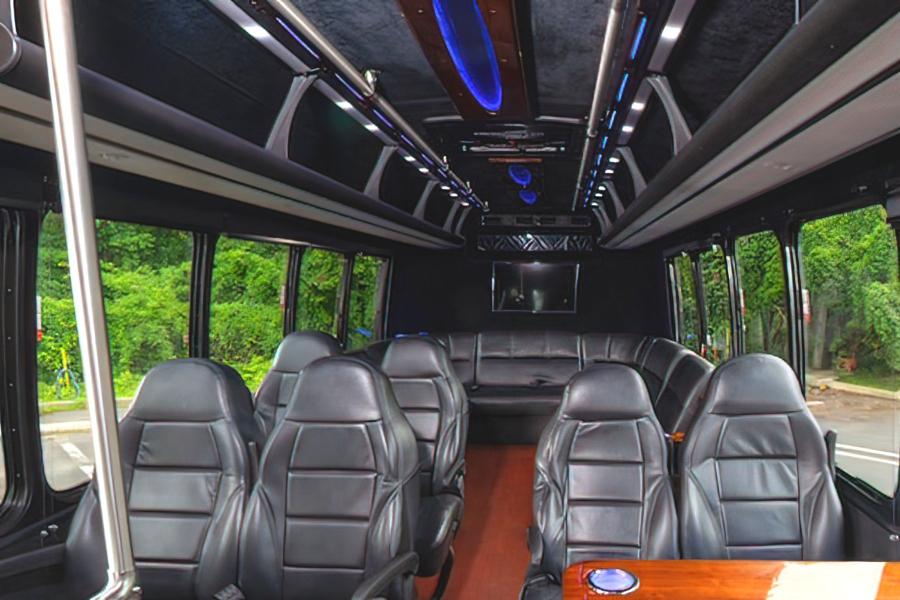 16 PASSENGER LIMO VAN Photo