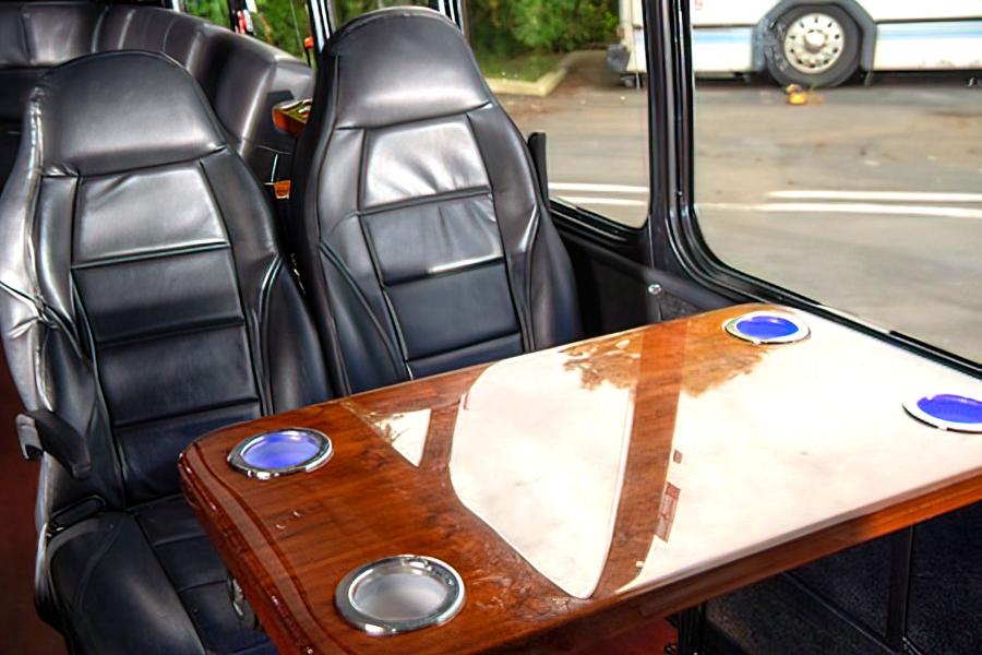 16 PASSENGER LIMO VAN Small Photo (19)