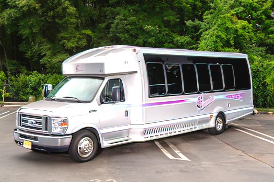 16 PASSENGER LIMO VAN Small Photo (19)